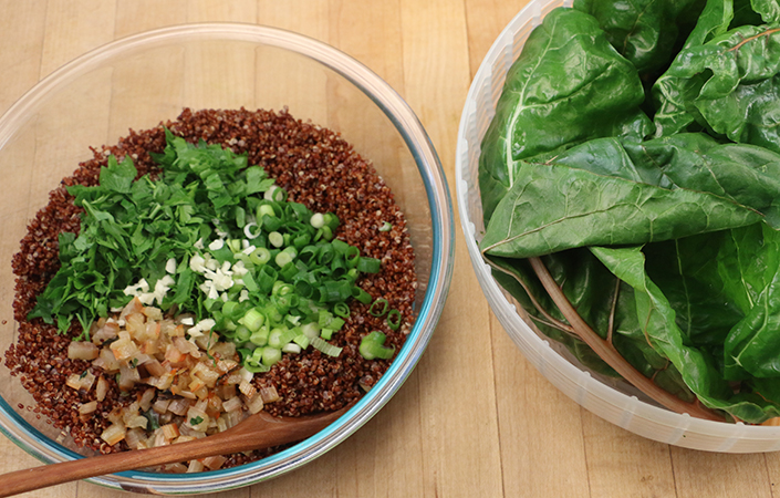 Swiss Chard Rolls with Lemon Caper Yogurt Sauce
