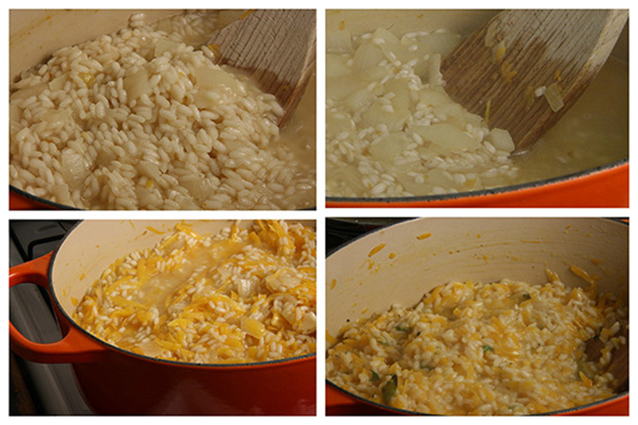 Butternut Squash Risotto