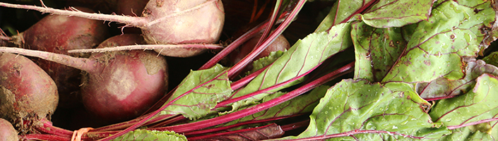 Beets by Early Morning Farm CSA