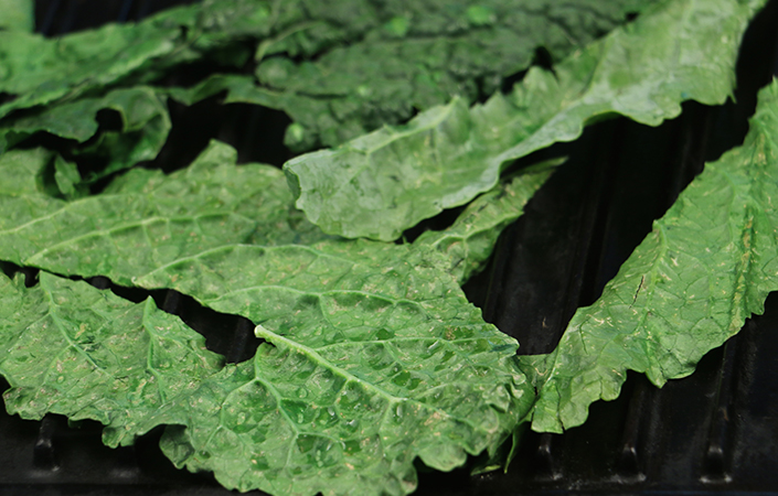 Grilled Kale Casar Salad