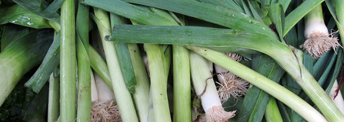 Leeks