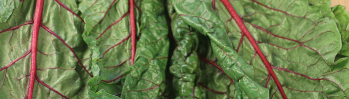 Swiss Chard
