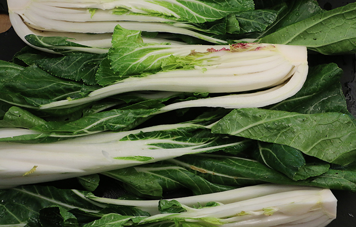 Braised Bok Choy by Early Morning Farm CSA