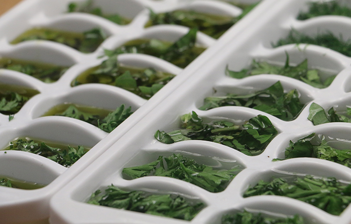 Freezing Fresh Herbs by Early Morning Farm CSA