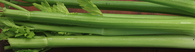 Celery by Early Morning Farm CSA