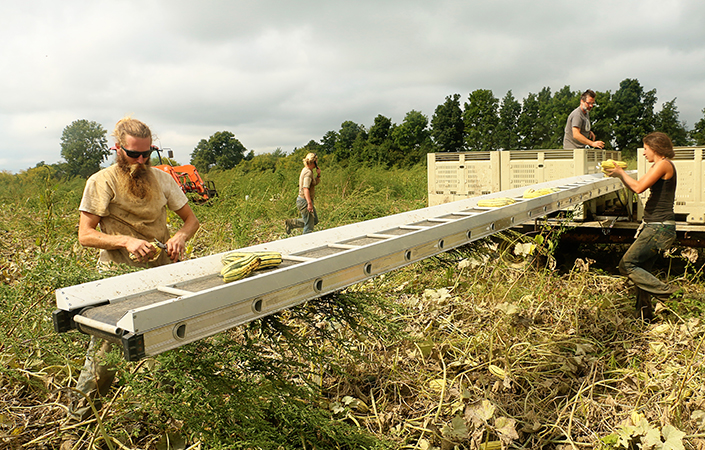 Easy Tips for Storing Winter Squash