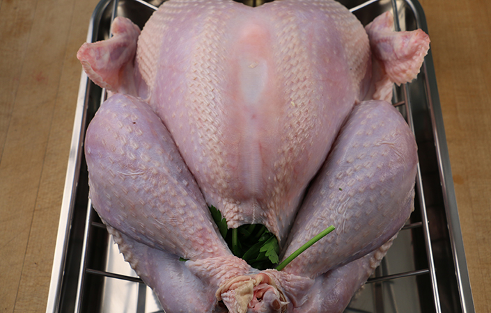 Thanksgiving Turkey & Gravy