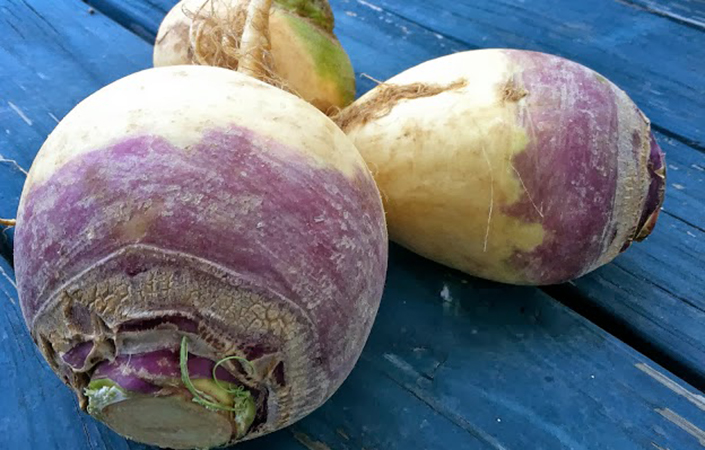 Rutabaga Hummus