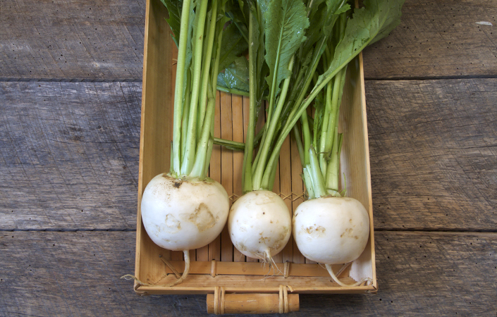 Easy Pickled Hakurei Turnips