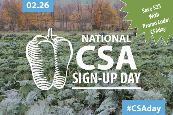 #CSADAY