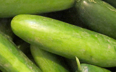 Cucumbers