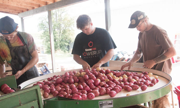 CSA Harvest Forecast – Week 17