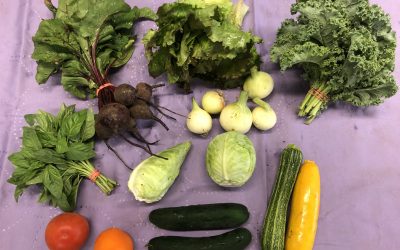 Food Preservation