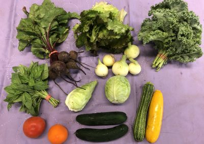 Food Preservation