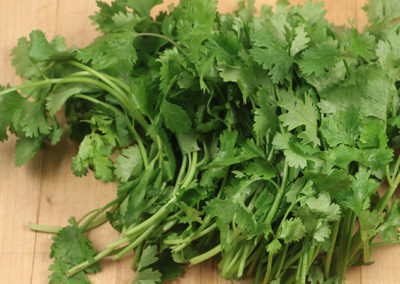 One Dozen Great Ideas for Cilantro!
