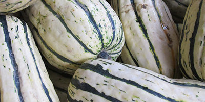 Delicata Squash