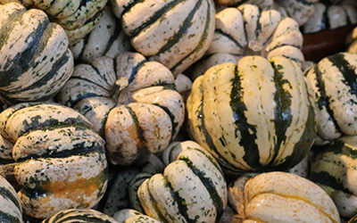 Sweet Dumpling Squash