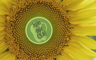 Celebrate Earth Day & Save!