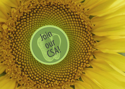 Celebrate Earth Day & Save!