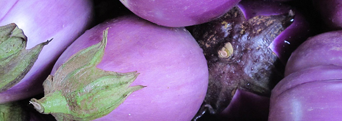 Eggplant