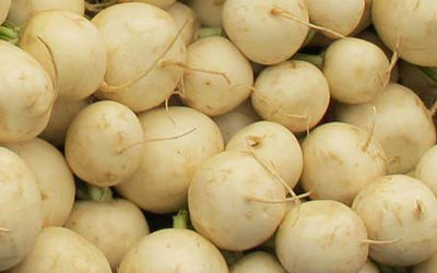 Hakurei Turnips