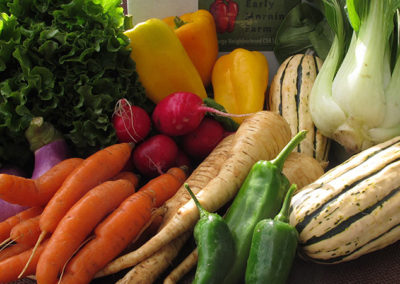 The Paleo Diet and Our CSA