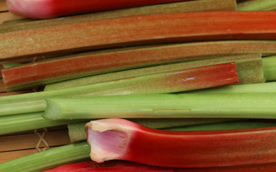 Pickled Rhubarb
