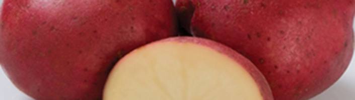 Potatoes