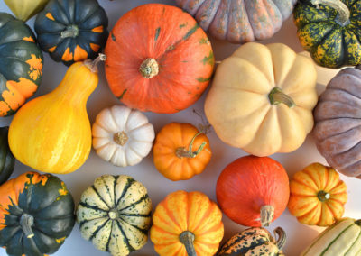Squash Season