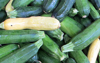 10 Great Recipes for Summer Squash & Zucchini