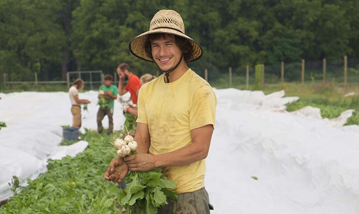 CSA Harvest Forecast – Week Thirteen